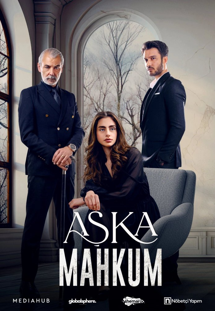 Заключенный любви турецкий сериал